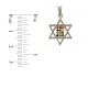 Gold Filled Star of David Hoshen Necklace