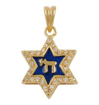 Blue Enamel Star of David Pendant - Gold Filled