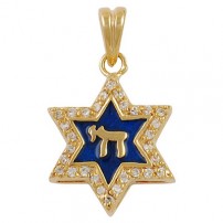 Blue Enamel Star of David Pendant - Gold Filled