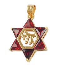 Garnet Chai Star of David Pendant - Gold Filled