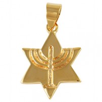 Star of David Menorah Pendant - Gold Filled