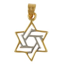 Two Color Star of David Pendant - Gold Filled